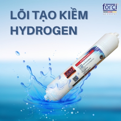 LÕI TẠO NƯỚC ION KIỀM - HYDROGEN